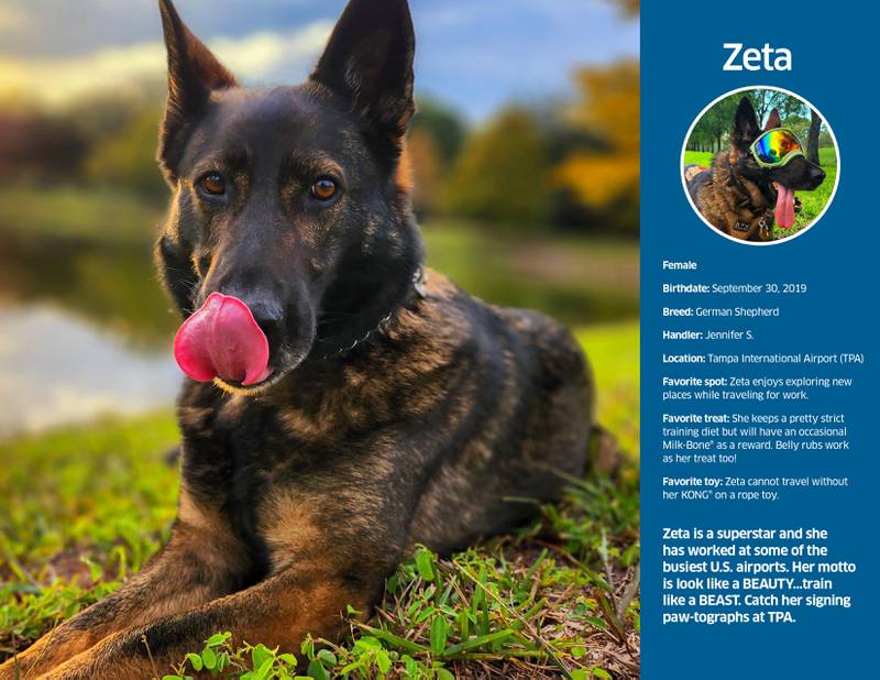 Photos TSA 2024 canine calendar WFTV