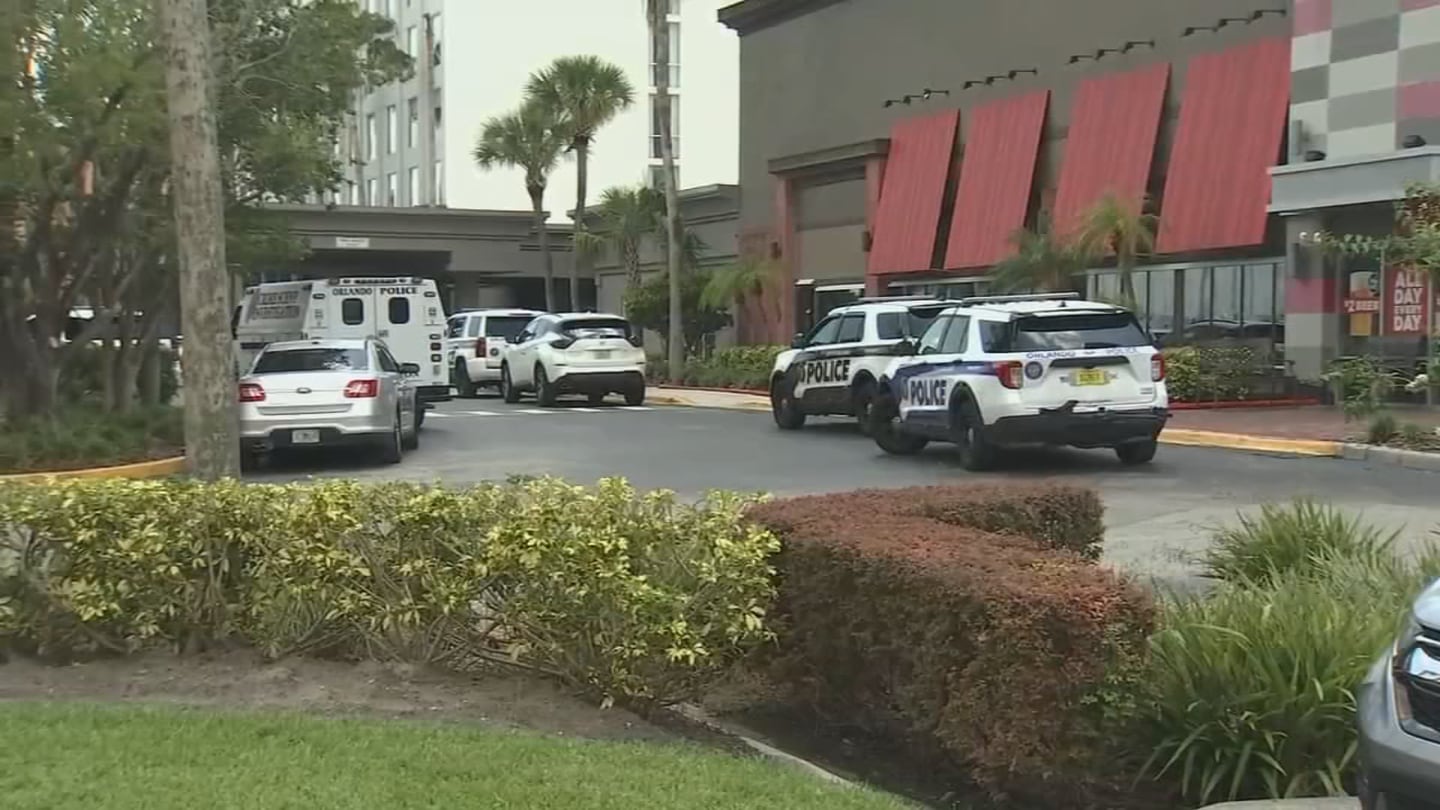 WATCH: Fight forced evacuation of parking garage at Universal Studios,  Orlando police say