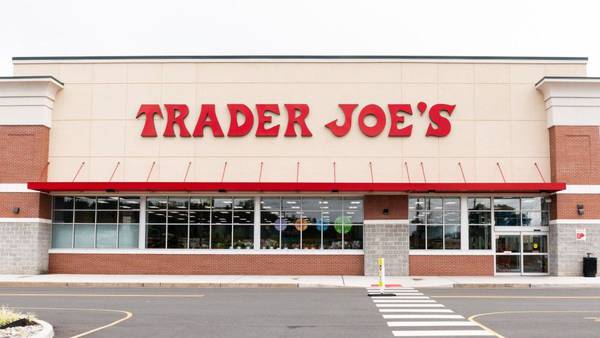 ‘Pumpkin Spice Pundit’ wanted to taste way through Trader Joe’s specialty fall items