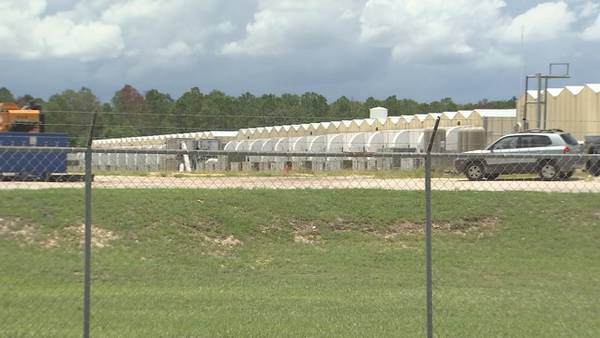 Questions raised over permit for Mount Dora medical marijuana plant producing ‘atrocious smell’