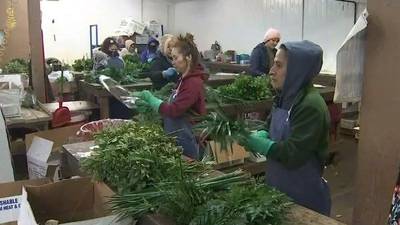 VIDEO: Volusia County's Fern Industry Impacted by Frost, Worker Shortages and Inflation - clipped version
