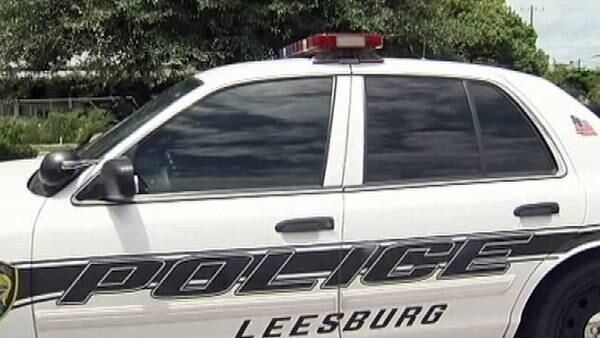Man, 73, dies after Leesburg traffic crash