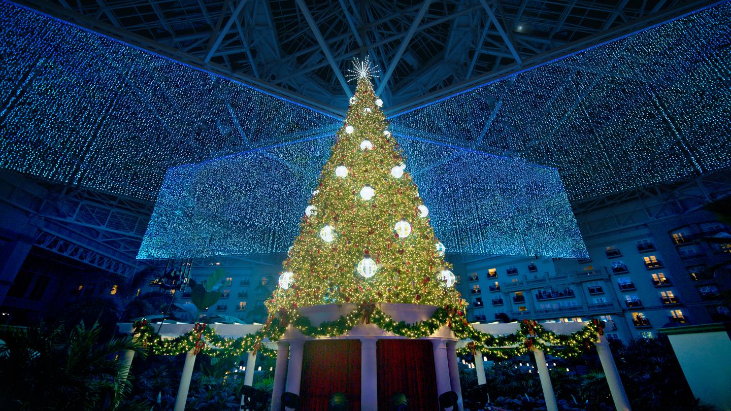 ICE! returns to Gaylord Palms Resort this Christmas WFTV