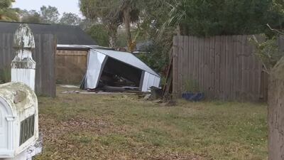 Woman recalls moment speeding car crashes into neighbor’s shed while running from police