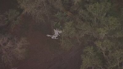 Photos: Pilot hospitalized after home-built airplane crashes in tree in Volusia County