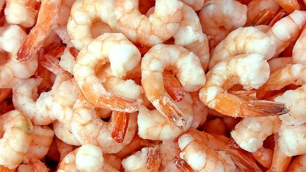 Shrimp surprise: Joey Chestnut loses shrimp-eating contest in Indianapolis