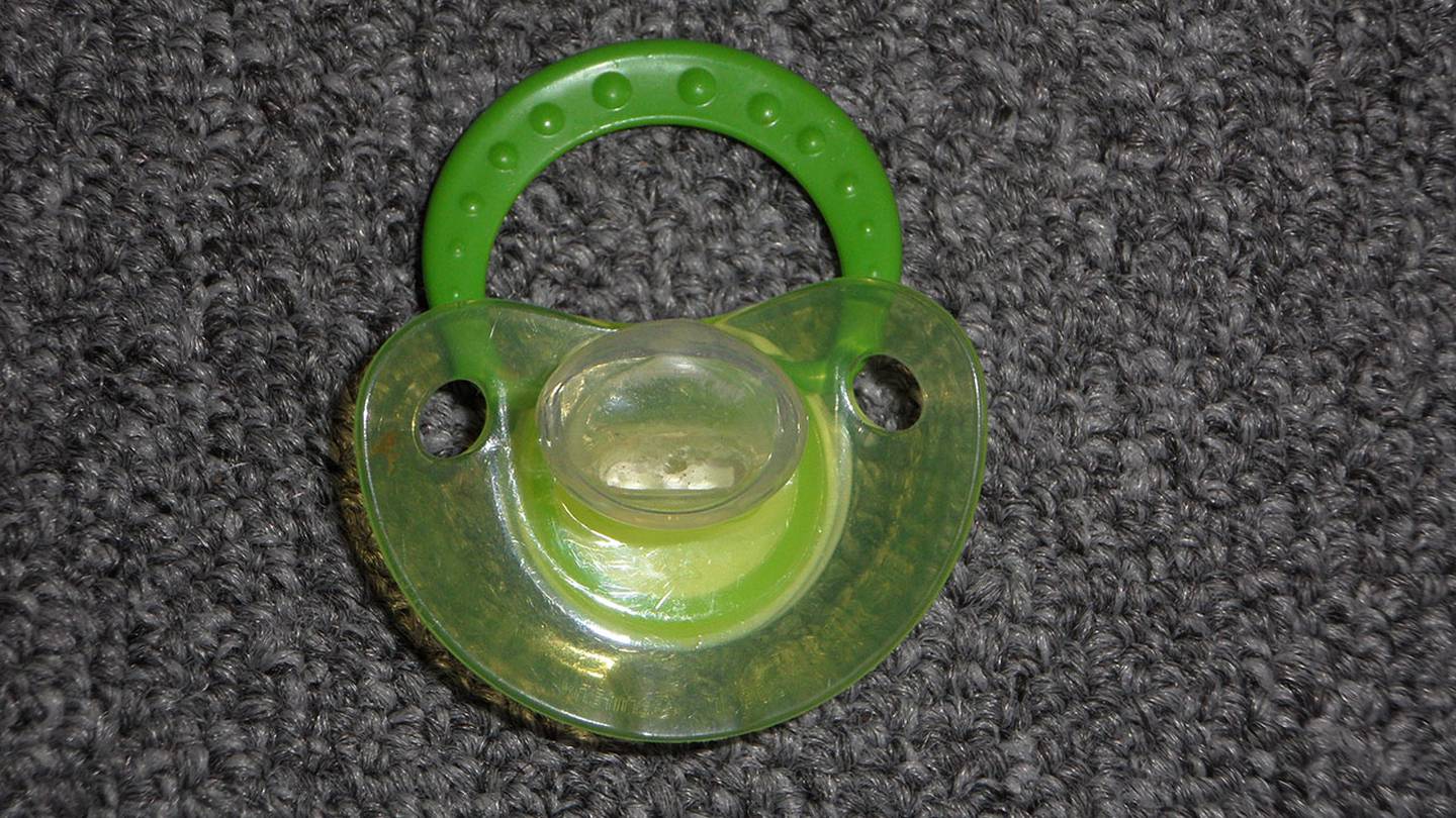 X ray shows bulldog swallowed 19 baby pacifiers WFTV
