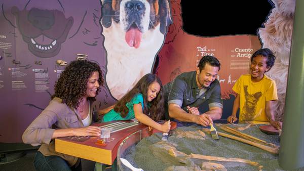 ‘Dogs! A Science Tail’ exhibit makes its debut in Orlando