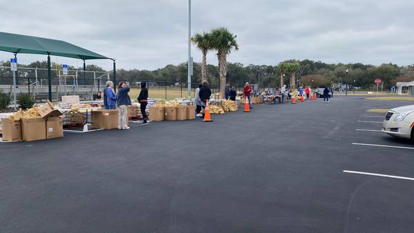 Hundreds line up for free food give away in Sumter County
