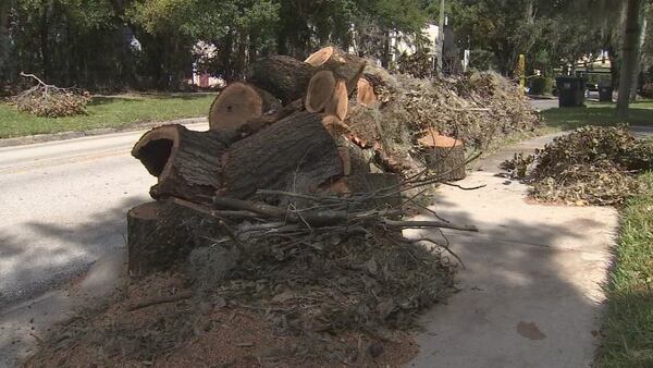 Hurricane Ian: Cleanup efforts continue as piles of debris await collection