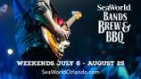 ‘Bands, Brew & BBQ’ returns to SeaWorld Orlando