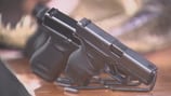 Court will hear arguments on Florida gun age law