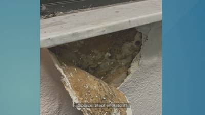 Video: School district testing mold at Oviedo elementary school