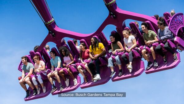 Serengeti Flyer: Tallest, fastest ride of its kind opens at Busch Gardens Tampa Bay