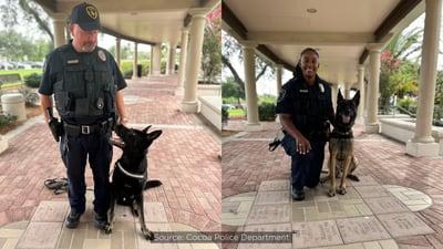 Photos: Cocoa police dogs complete ‘rigorous’ K-9 training