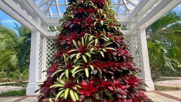 Holidays at Leu Gardens are in full bloom starting this weekend