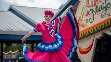Margaritas, music & more: SeaWorld Orlando to host Cinco de Mayo fiesta