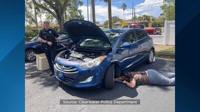 Photos: Florida officers help rescue injured raccoon from car engine