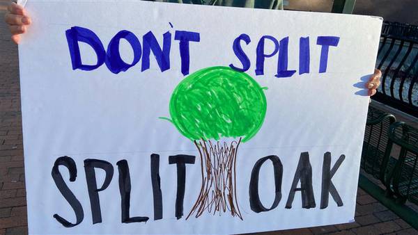 Group voices concern over proposed toll road project through protected Split Oak Forest