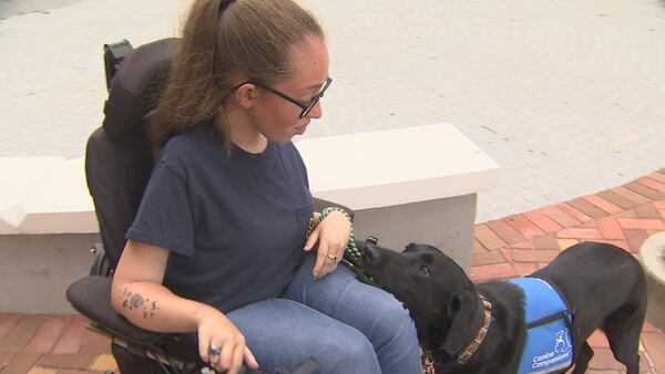 VIDEO: UCF program helps provide free service dogs for people with disabilities