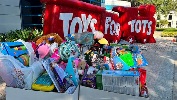 Toys For Tots stuff the sleigh at WFTV studios