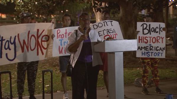 Group gathers at Lake Eola to voice concerns over books banned in schools