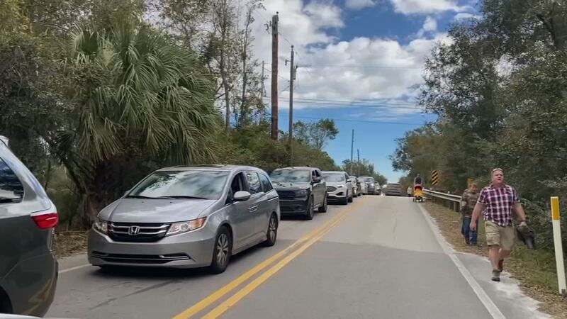 Manatee viewing at Blue Spring has visitors lined up for miles