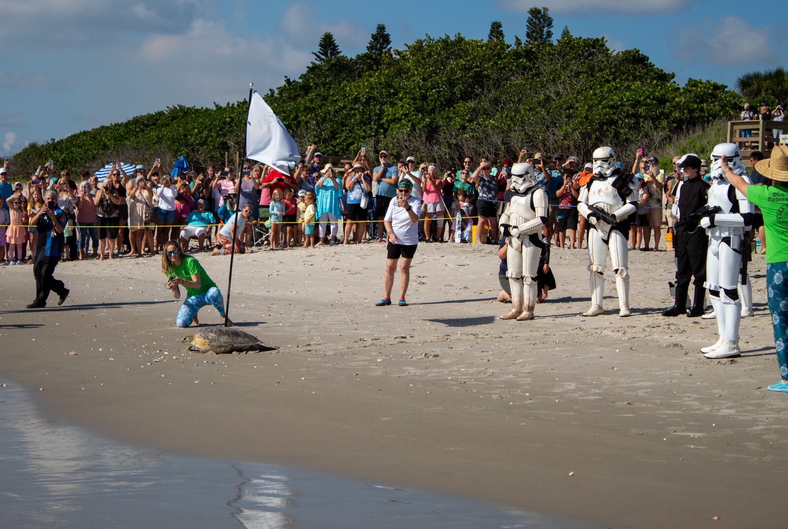 Vader, the sea turtle released by Brevard Zoo back into the ocean. – WFTV