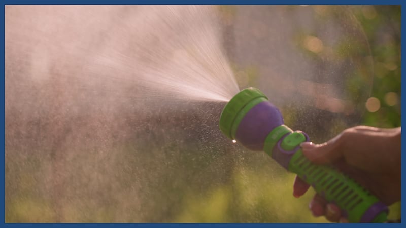 Florida Woman, 33, arrested after assaulting elderly neighbor over garden hose mount, police say