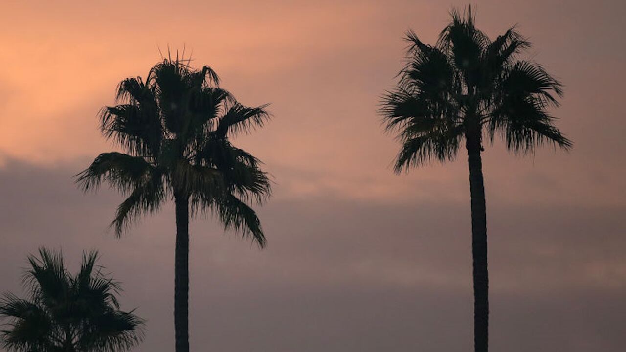 The girl was playing on an obstacle course strap when the tree fell on top of her.