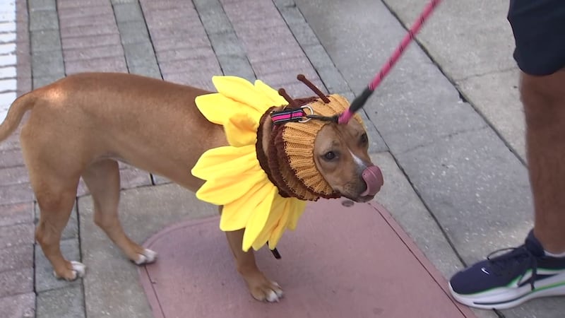 Downtown Orlando prepares for busy Halloween weekend 2 years after mass shooting