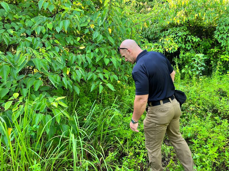 Ocala police recover skull and skeletal remains Wednesday morning.