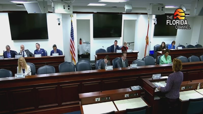 State Committee votes to launch audit into Concorde Estates’ Community Development District