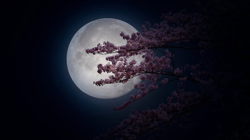 May brings Flower Moon