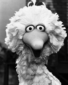Sesame Street