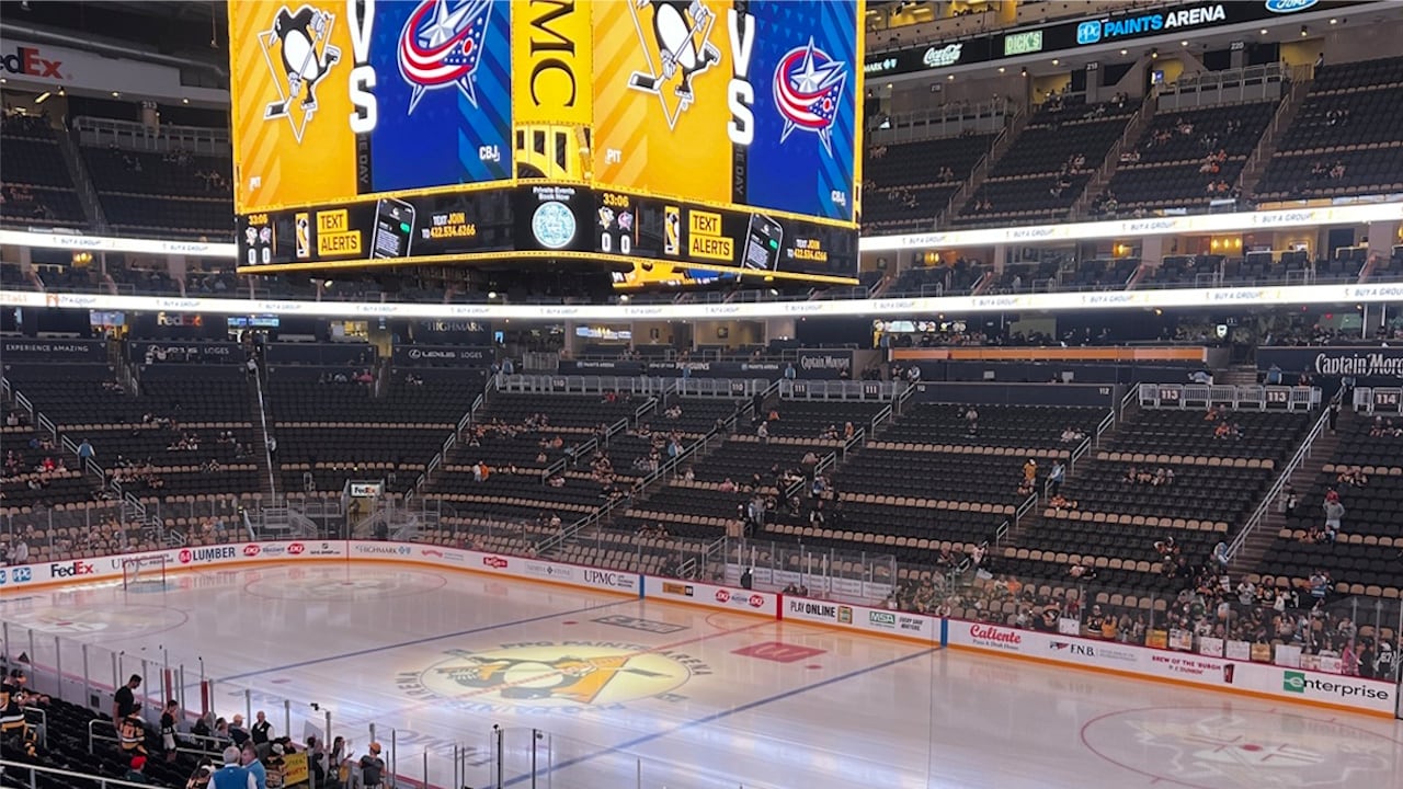 The fan was seriously injured when he fell into the 101 level from an upper deck at Pittsburgh's PPG Paints Arena.