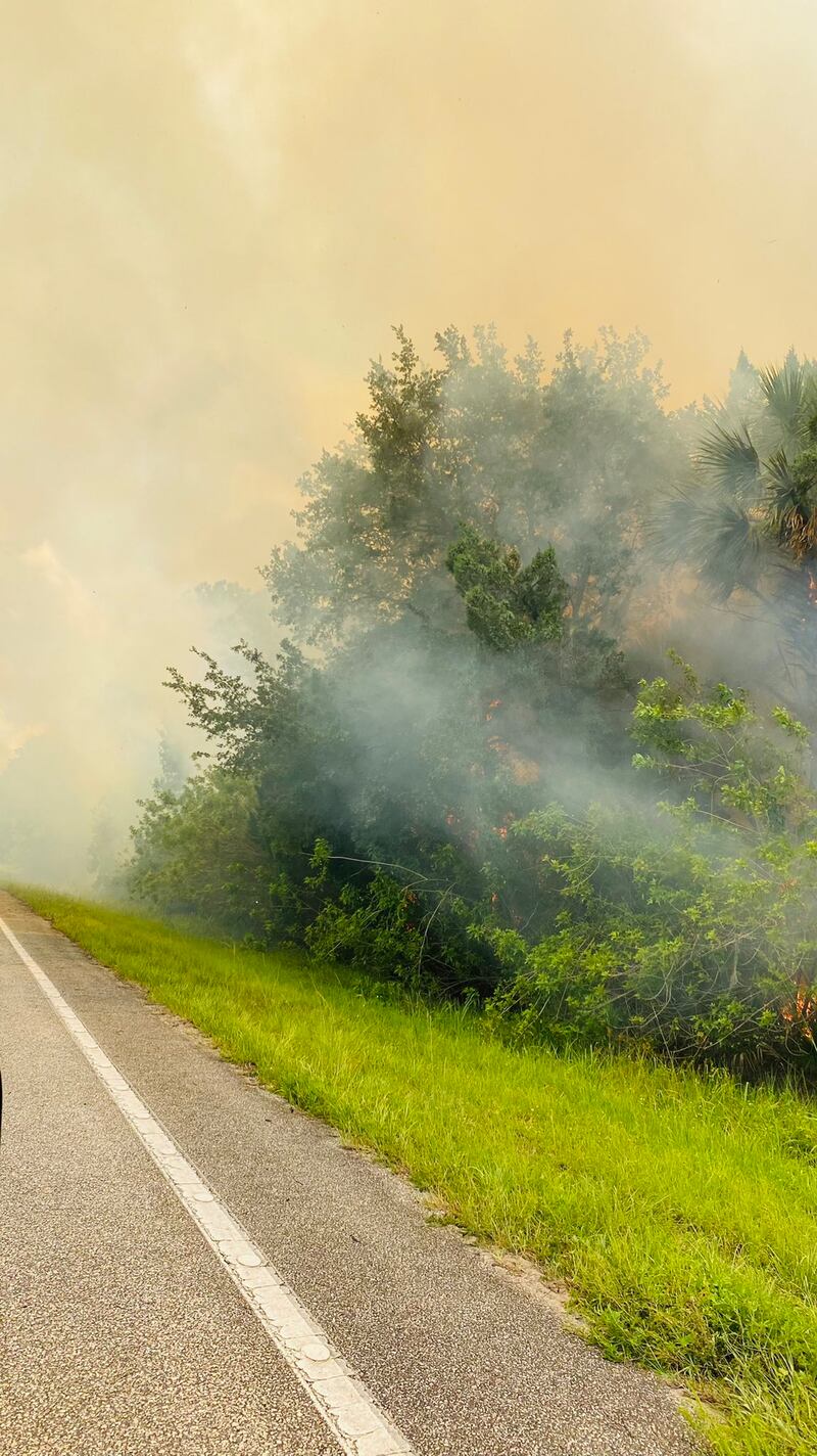 15-acre wildfire affects traffic in Seminole County