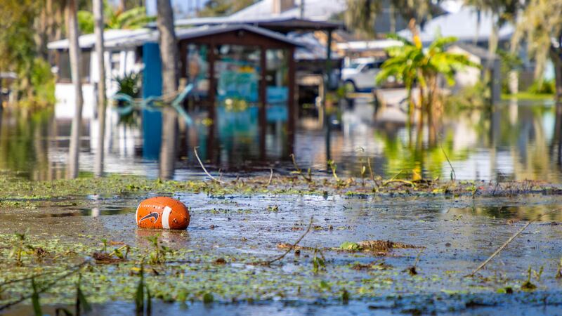 Insurers fined over $2M for mishandling hurricane claims