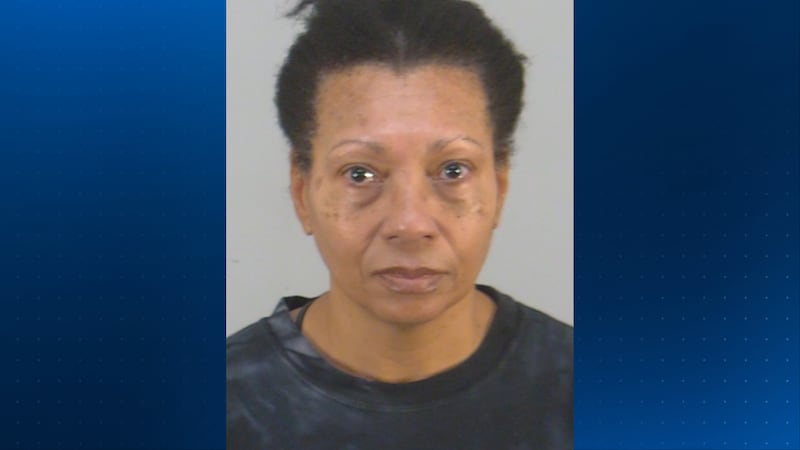 Lawyer for woman accused of drowning her dog at Orlando Airport bathroom might leave case