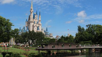 <p>Disney's Magic Kingdom</p>