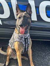 Cocoa Police Department’s K9 Draco receives new body armor