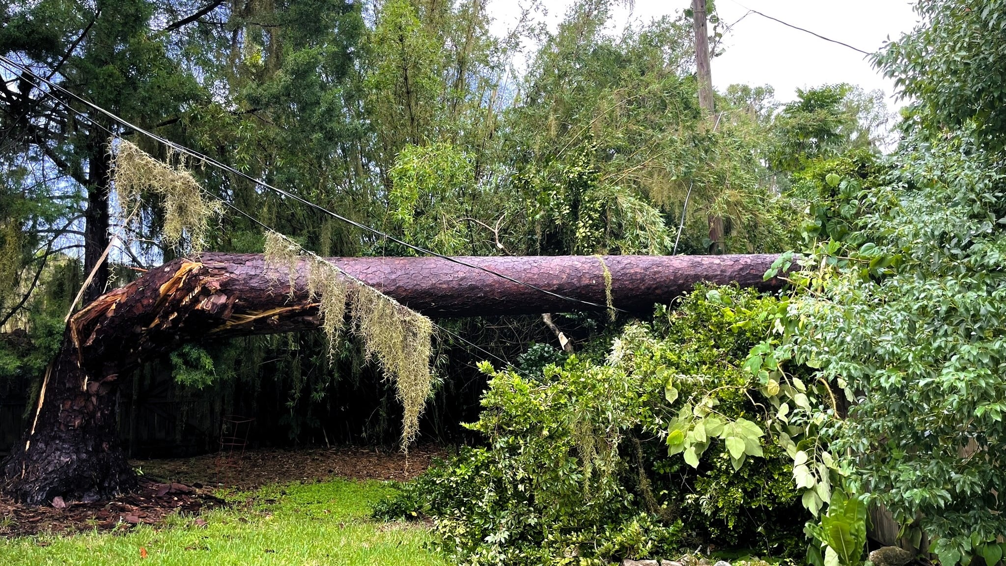 Trees crash into two Ocala homes during severe weather
