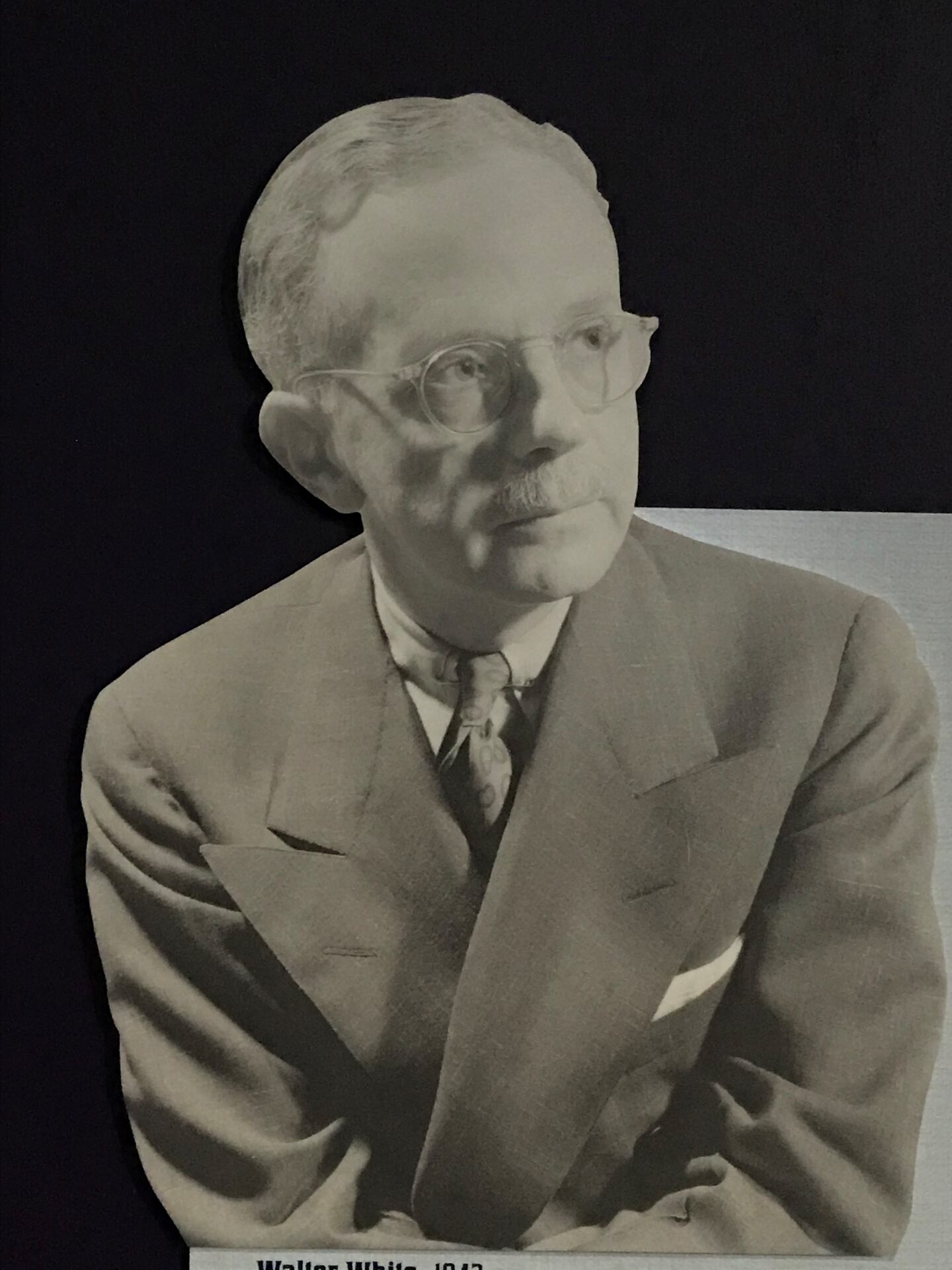 Walter White was an investigator for the NAACP before leading the organization for nearly 25 years.