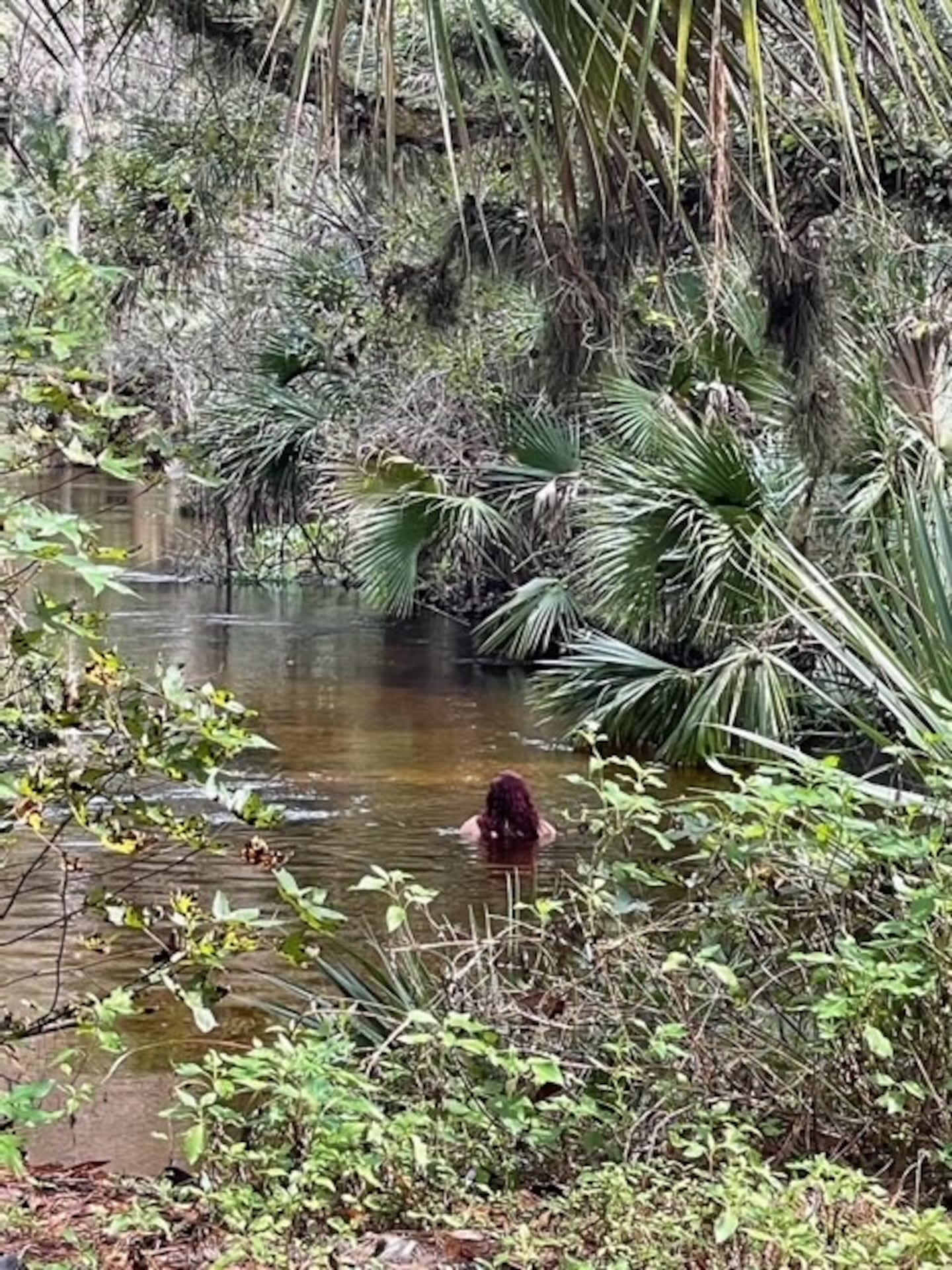 The Sheriff’s Office is continuing to follow up on public tips on Paola Miranda-Rosa, who was last seen on Dec. 17 as she left her grandmother’s house on near South Semoran Boulevard in Orlando.