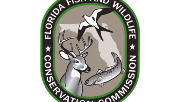 FWC: Missing turkey hunter rescued after more than 24 hours in Sumter County woods