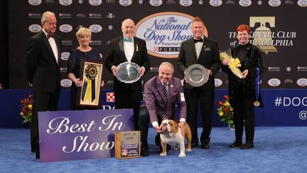 6 things to know about The National Dog Show