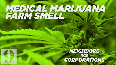 The smell of Florida medical marijuana farms isn’t sitting well with neighbors