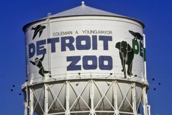 Detroit Zoo announces death of beloved Amur tiger