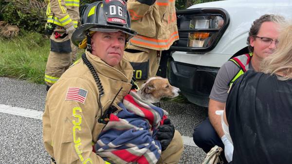 Seminole County firefighter helps comfort dog after owners involved in car crash