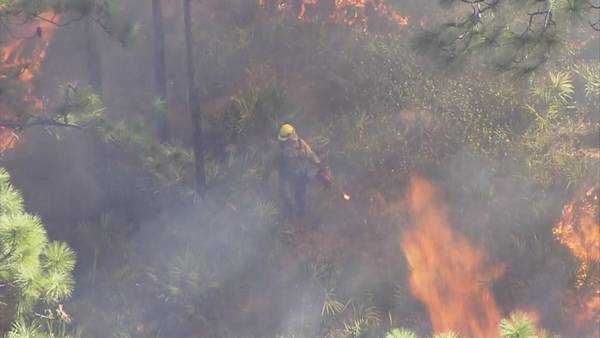 VIDEO: Prescribed burns across Central Florida